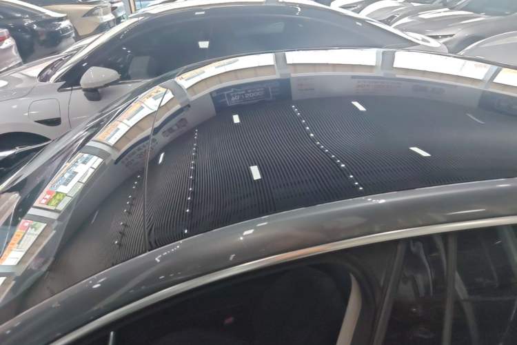 Used XPeng P7 2020 670N Roof