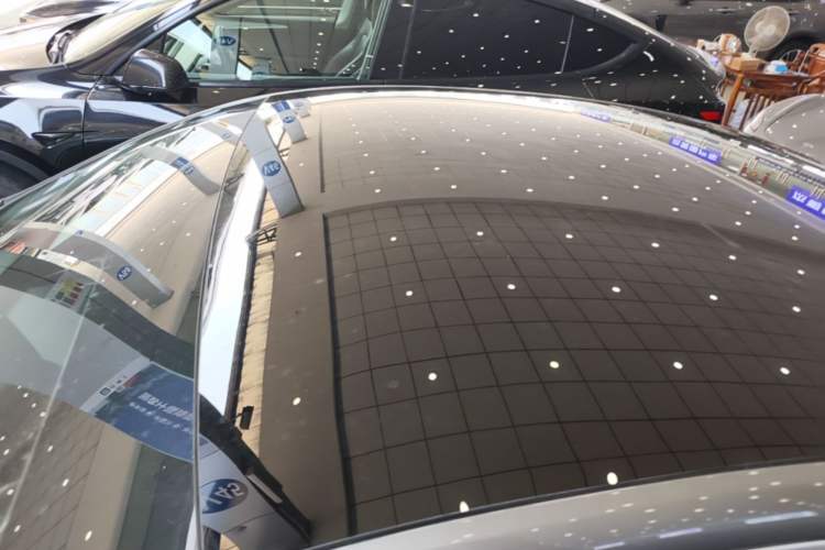 Used XPeng P7 2020 670N Roof
