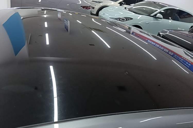 Used XPeng P7 2020 670N Roof