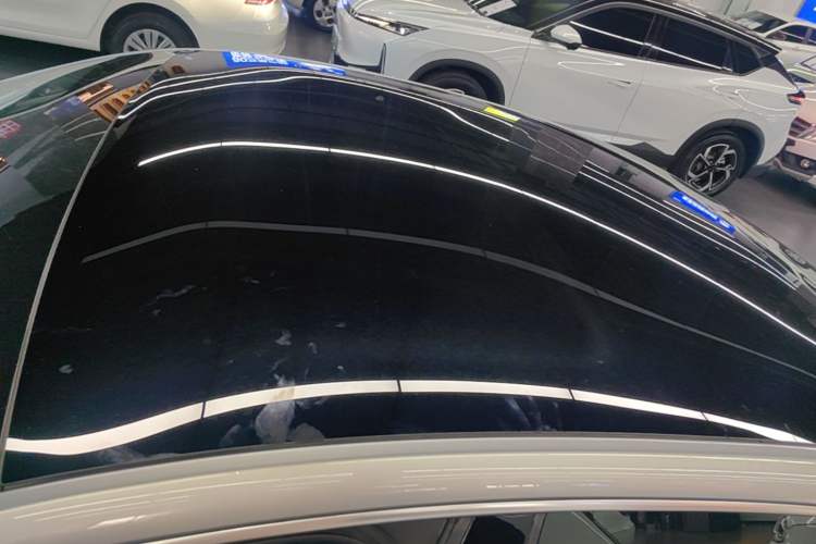Used XPeng P7 2020 670N Roof