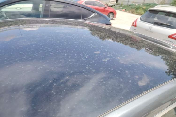Used XPeng P7 2020 706G Roof