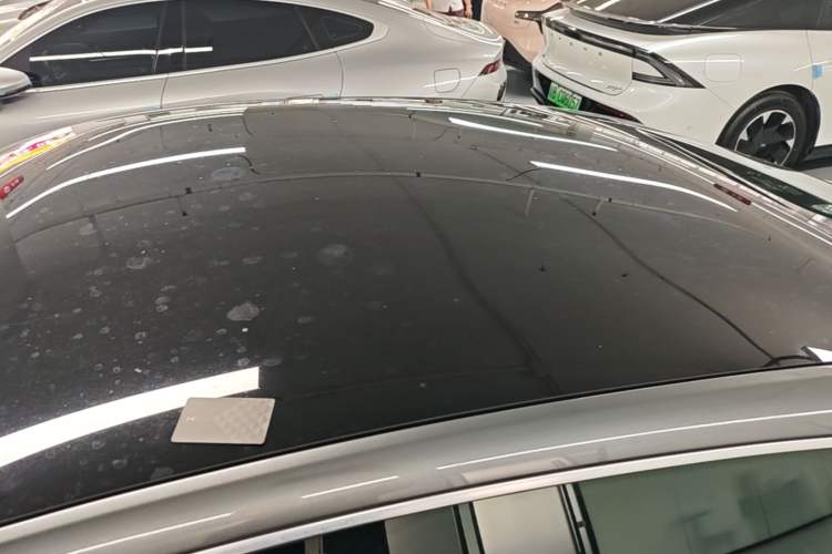 Used XPeng P7 2020 670E Roof