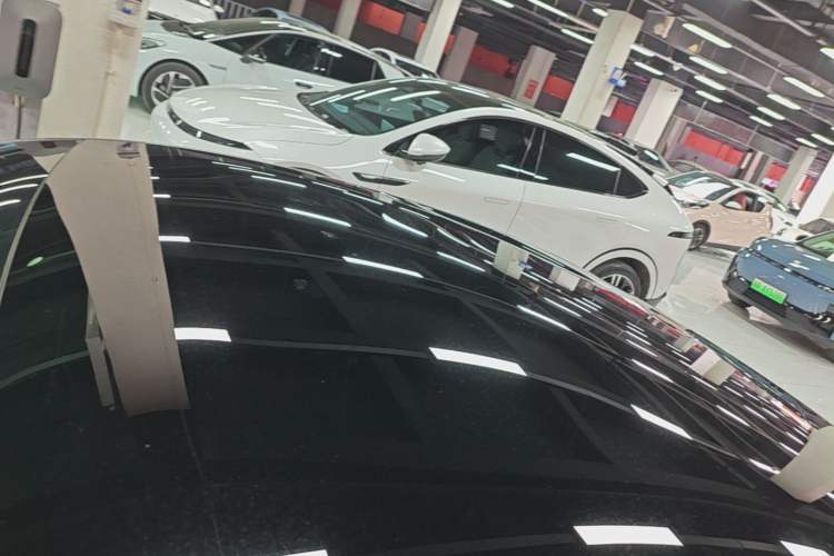 Used XPeng P7 2020 670E Roof