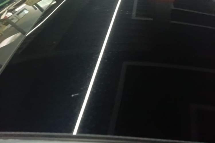 Used XPeng P7 2020 670N Roof