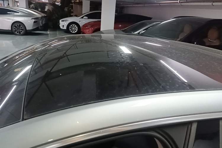 Used XPeng P7 2020 670N Roof