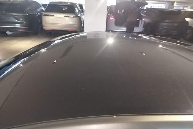 Used XPeng P7 2020 586E Roof