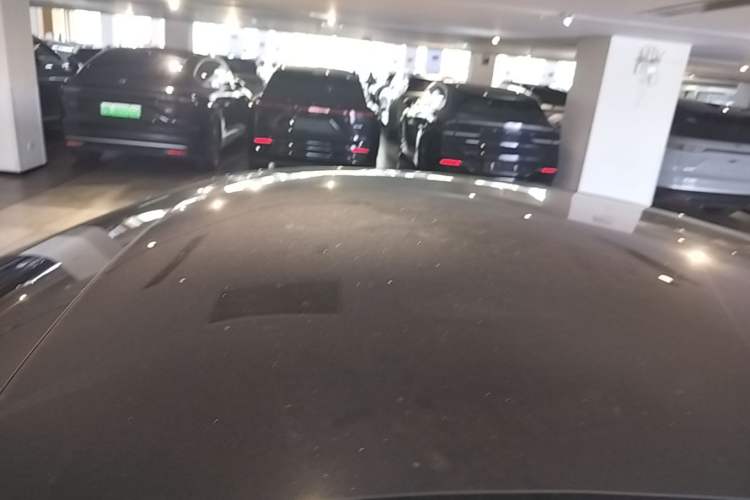 Used XPeng P7 2020 670E Roof