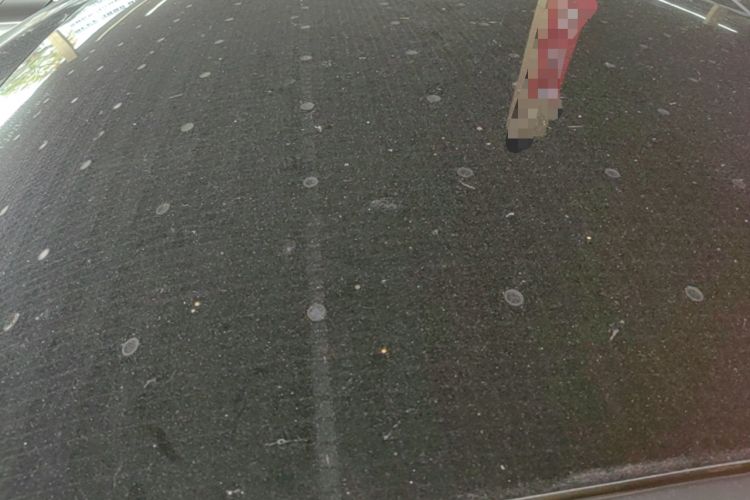Used XPeng P7 2020 670N Roof