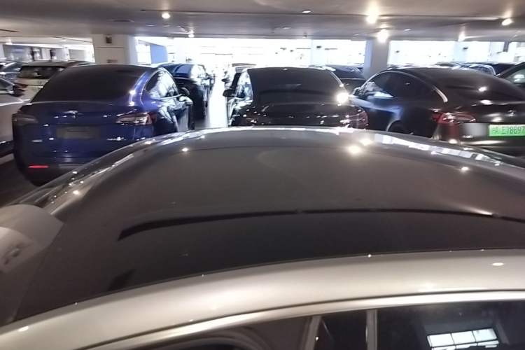 Used XPeng P7 2020 670E Roof