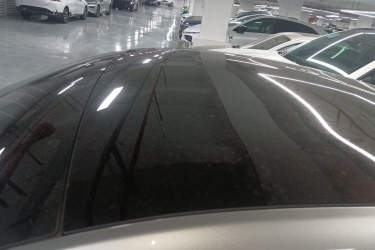 Used XPeng P7 2020 670E Roof