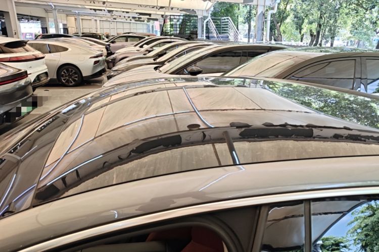 Used XPeng P7 2020 670N Roof