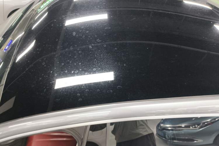 Used XPeng P7 2020 670N Roof