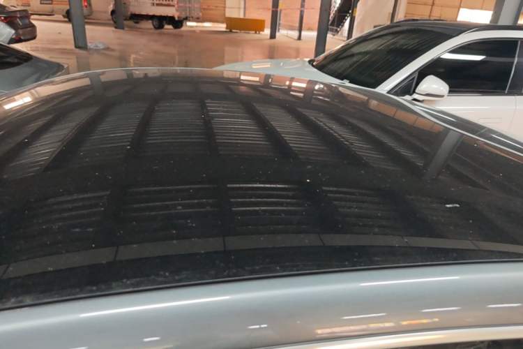Used XPeng P7 2020 670N Roof