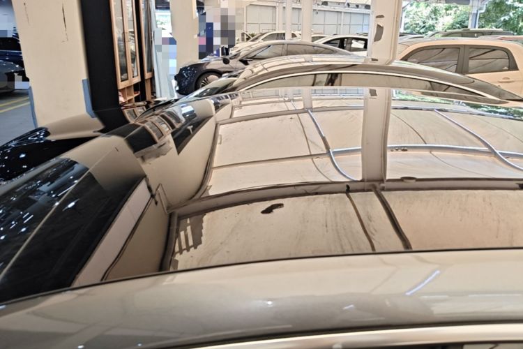 Used XPeng P7 2020 670N Roof
