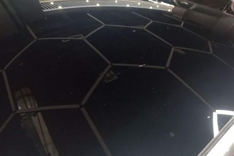 Used XPeng P7 2020 670N Roof