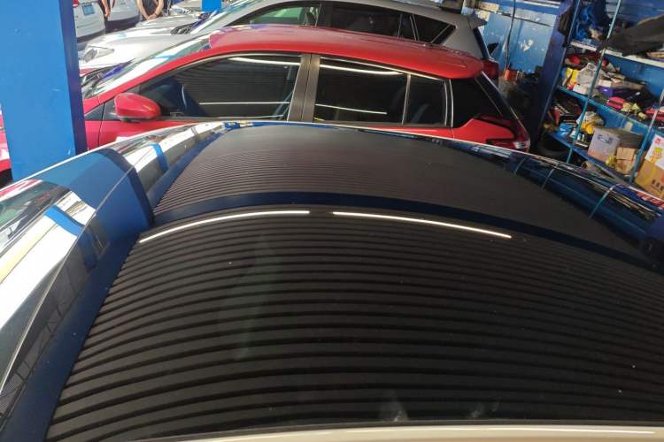 Used XPeng P7 2020 586N Roof