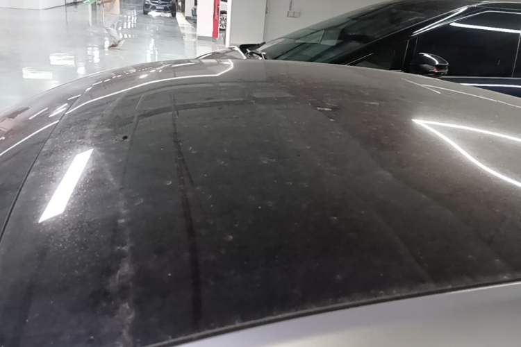 Used XPeng P7 2020 706G Roof