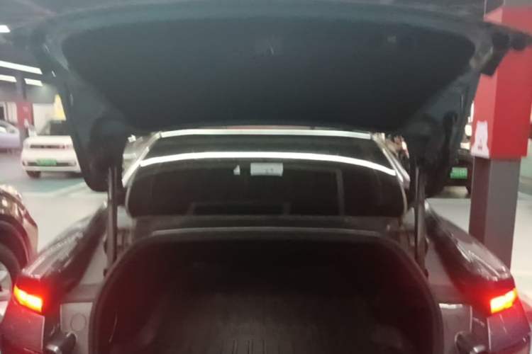 Used XPeng P7 2020 670N Trunk