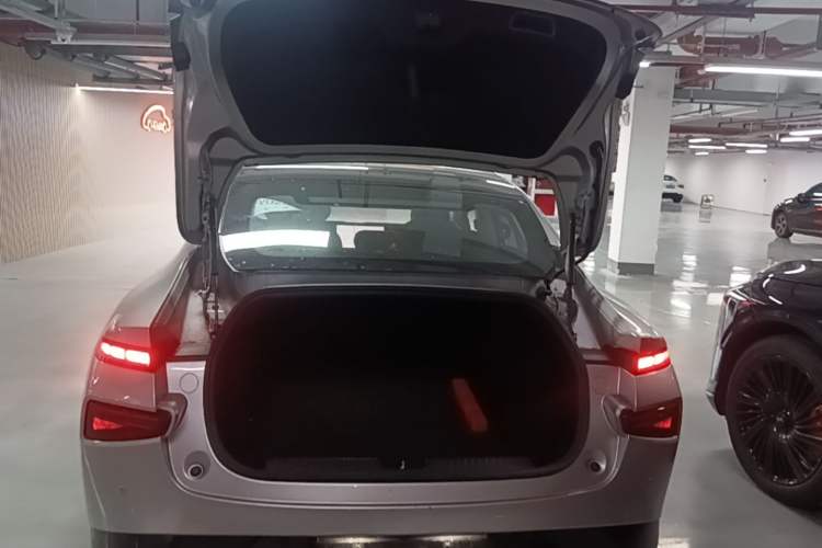 Used XPeng P7 2020 670N Trunk