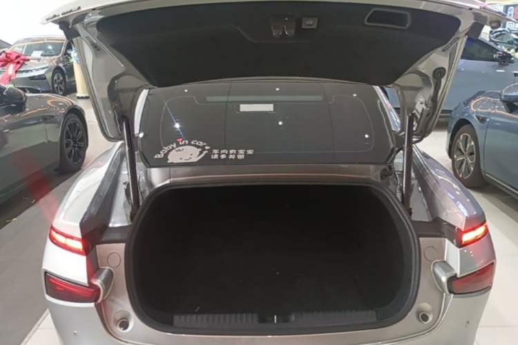 Used XPeng P7 2020 670N Trunk