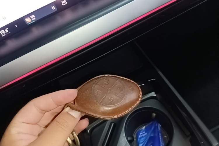 Used XPeng P7 2020 586N Vehicle Key