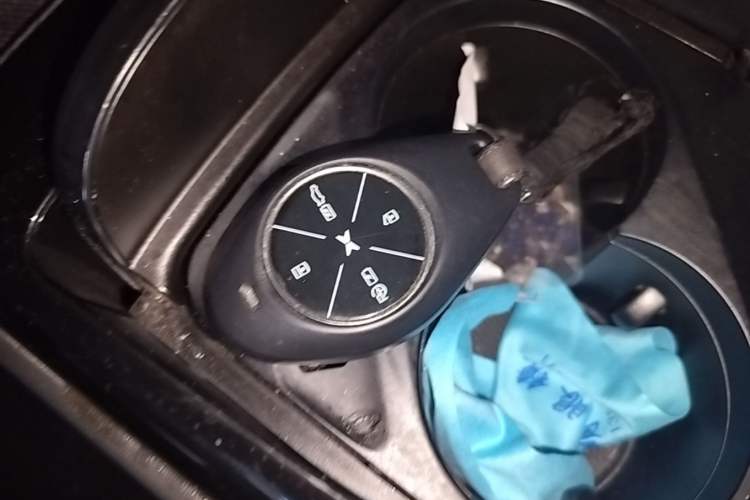 Used XPeng P7 2020 670E Vehicle Key