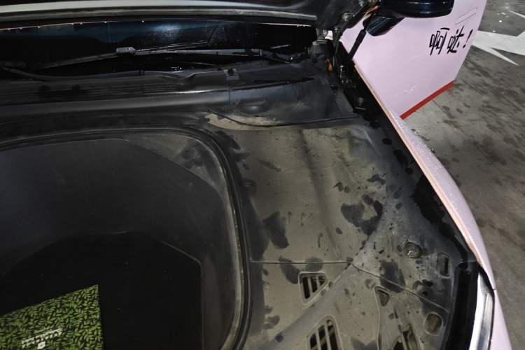 Used XPeng P7 2020 670N Engine Bay Left