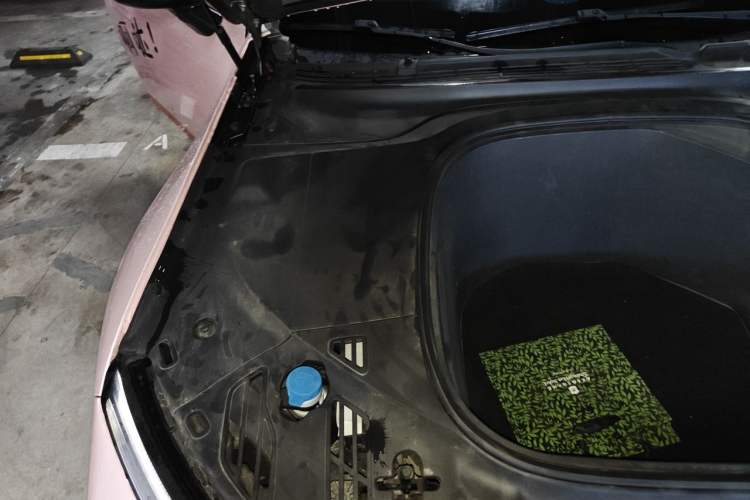 Used XPeng P7 2020 670N Engine Bay Right
