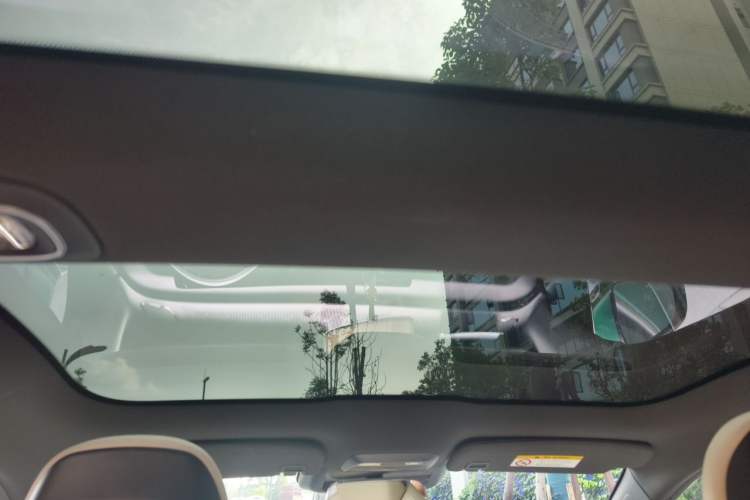 Used XPeng P7 2020 706G Headliner