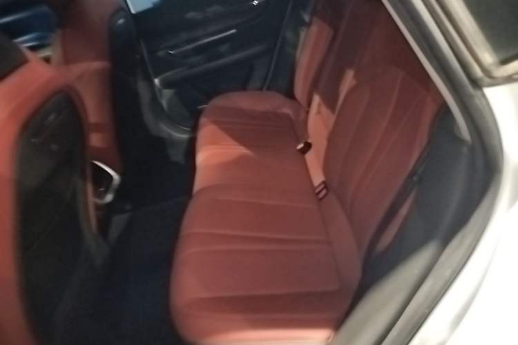 Used XPeng P7 2020 670N Left Rear Seat