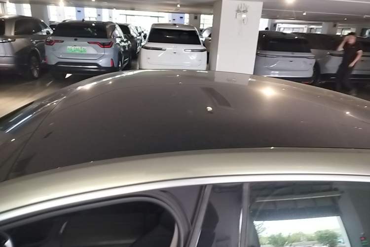 Used XPeng P7 2020 670N Roof