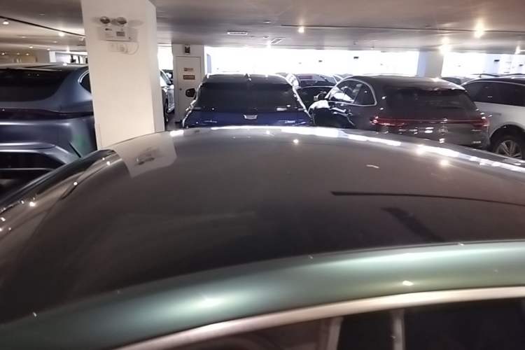Used XPeng P7 2020 670N Roof