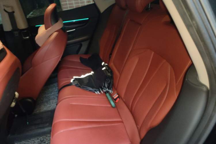 Used XPeng P7 2020 670E Left Rear Seat