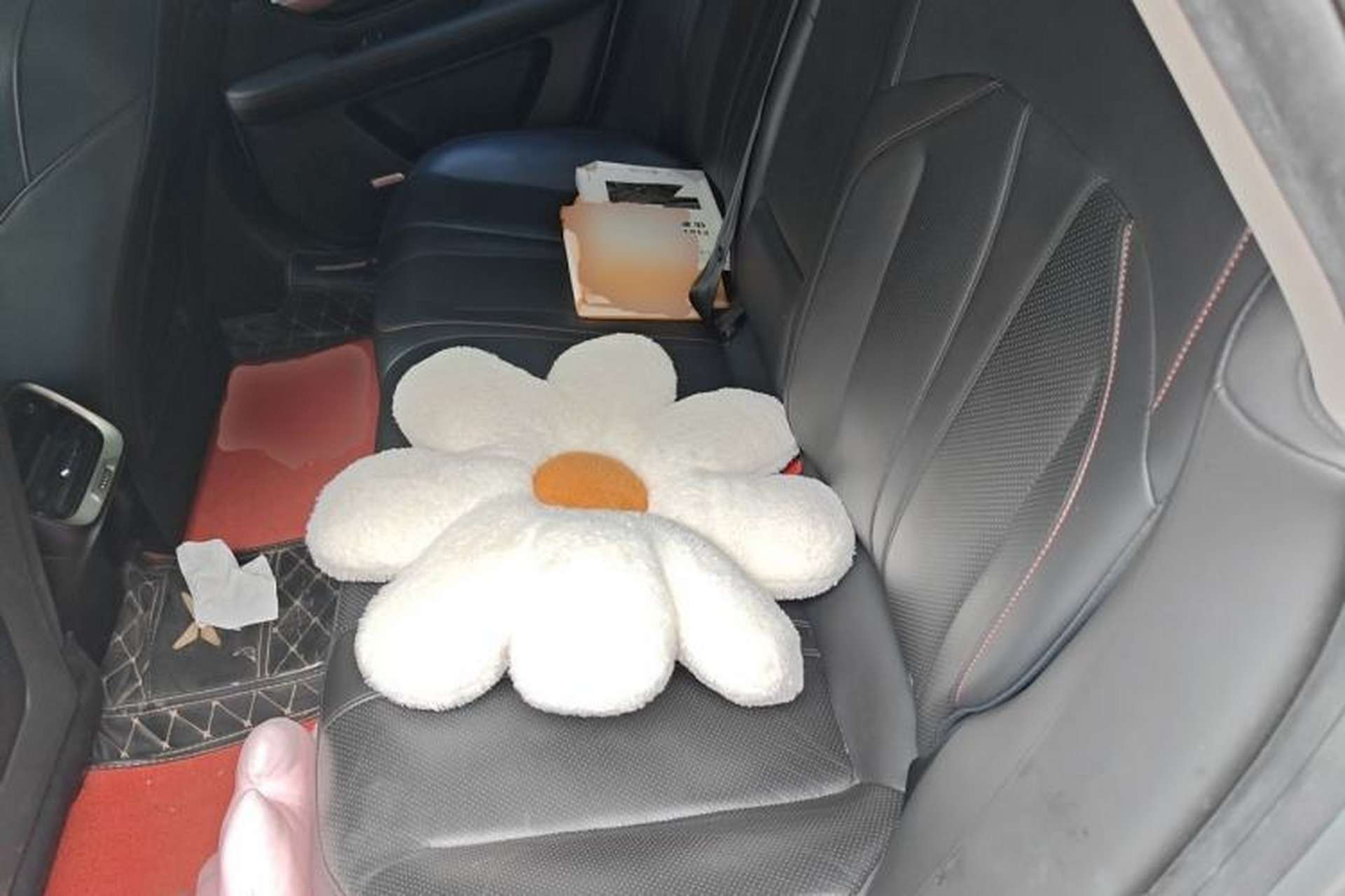 Used XPeng P7 2020 670E Left Rear Seat