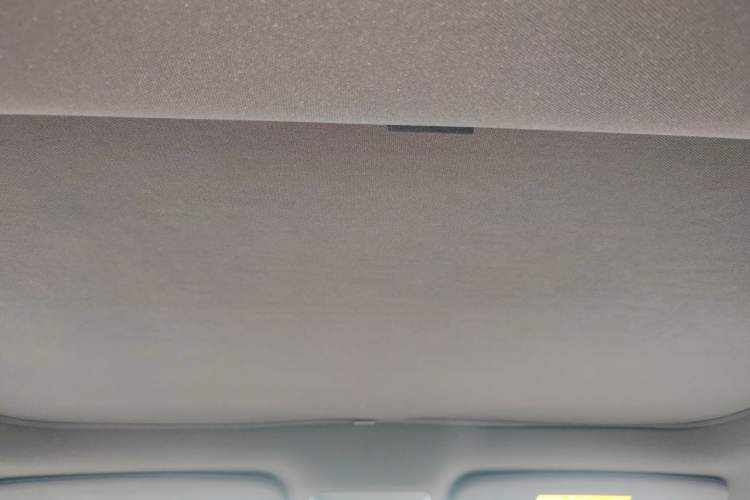 Used XPeng P7 2020 586E Headliner