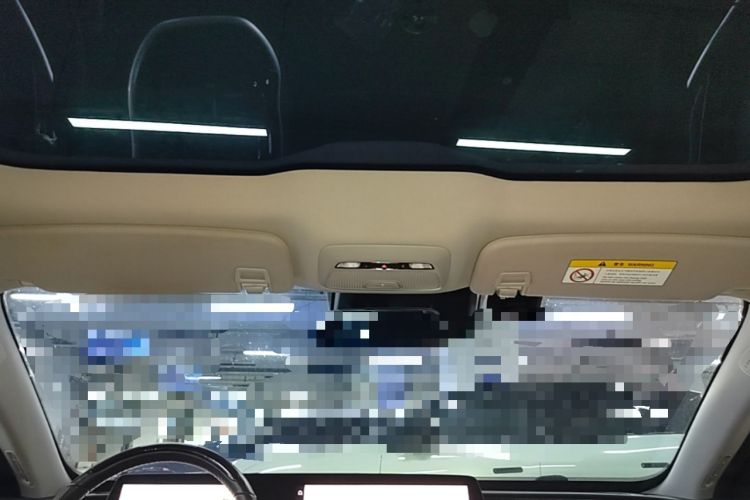 Used XPeng P7 2020 670N Headliner
