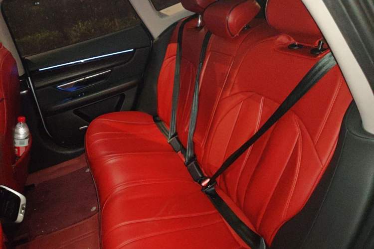 Used XPeng P7 2020 Rear-Drive Long-Range Smart Drive Version Left Rear Seat