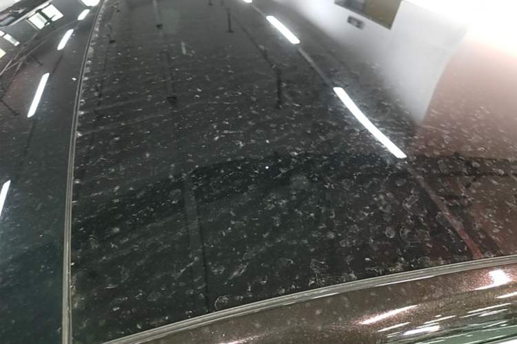 Used XPeng P7 2020 670N Roof