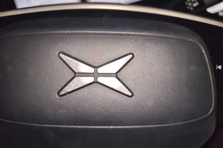 Used XPeng P7 2020 706G Vehicle Key