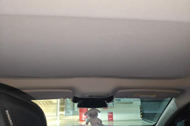 Used XPeng P7 2020 670E Headliner