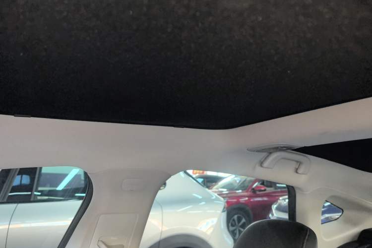 Used XPeng P7 2020 586E Headliner