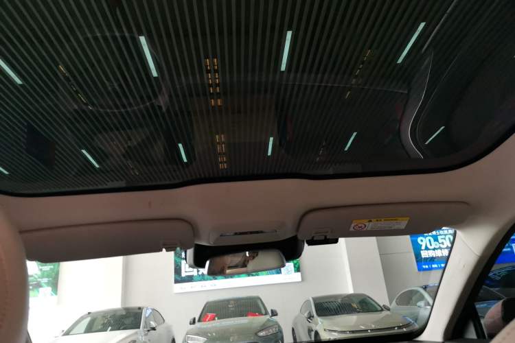 Used XPeng P7 2020 670E Headliner