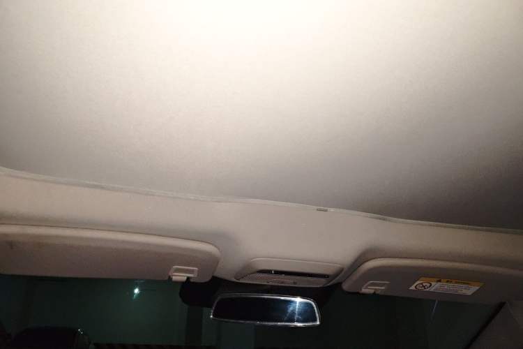 Used XPeng P7 2020 670E Headliner
