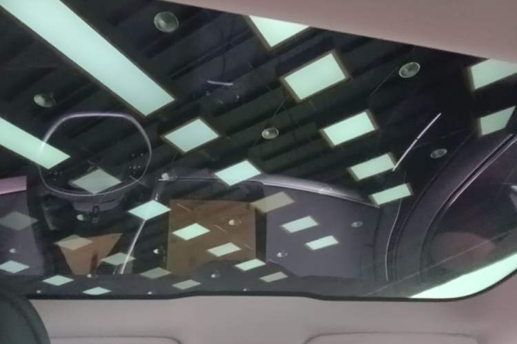 Used XPeng P7 2020 586N Headliner