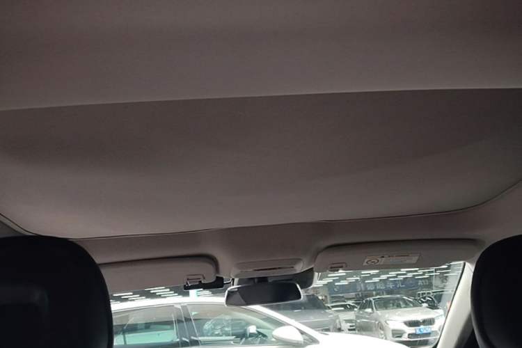 Used XPeng P7 2020 670N Headliner