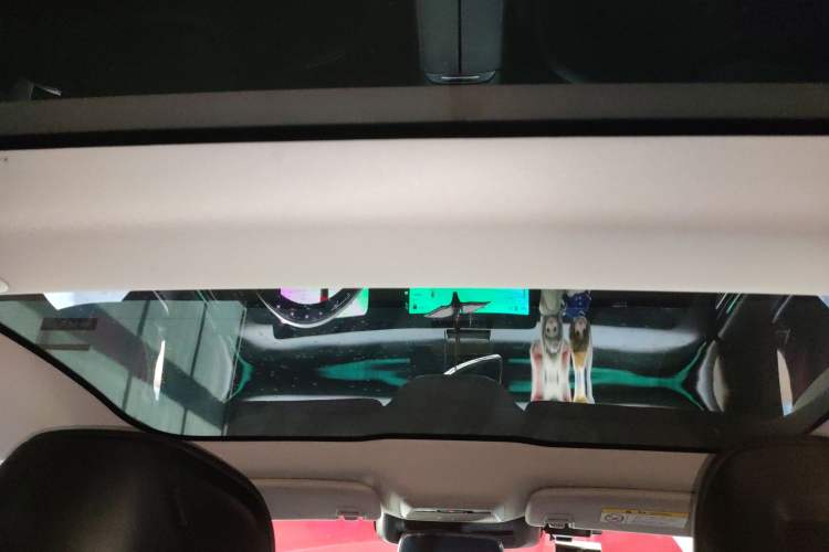 Used XPeng P7 2020 670E Headliner