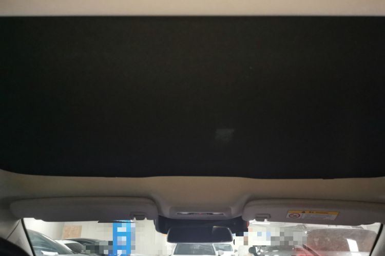 Used XPeng P7 2020 706G Headliner