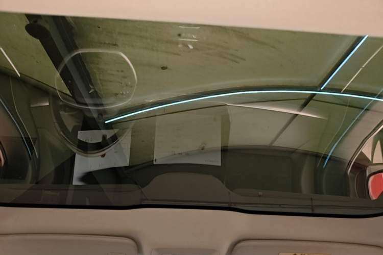 Used XPeng P7 2020 670N Headliner