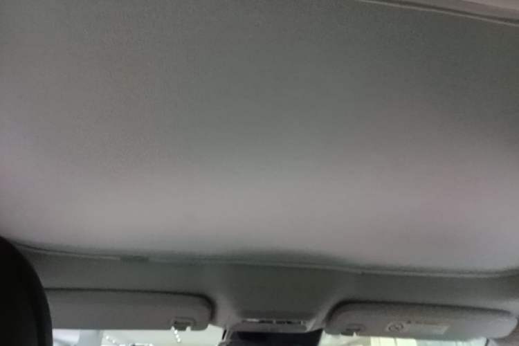 Used XPeng P7 2020 586N Headliner