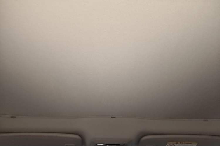 Used XPeng P7 2020 670E Headliner